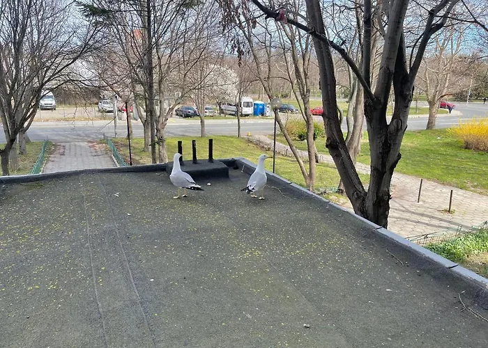 Апартамент морски дом Бургас